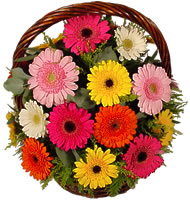 Sepet içerisinde sıcak sevgi çiçekleri  Adana çiçek gönder hediye çiçek yolla 