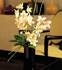  Adana iek siparii iekiler  cam yada mika vazo ierisinde dal orkide