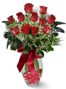 9 adet gül  Adana çiçek gönder internetten çiçek satışı  kirmizi gül