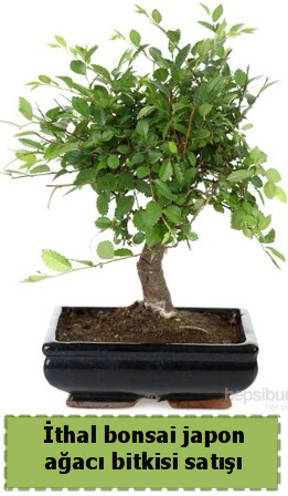 thal bonsai saks iei Japon aac sat  Adana iek yolla nternetten iek siparii 