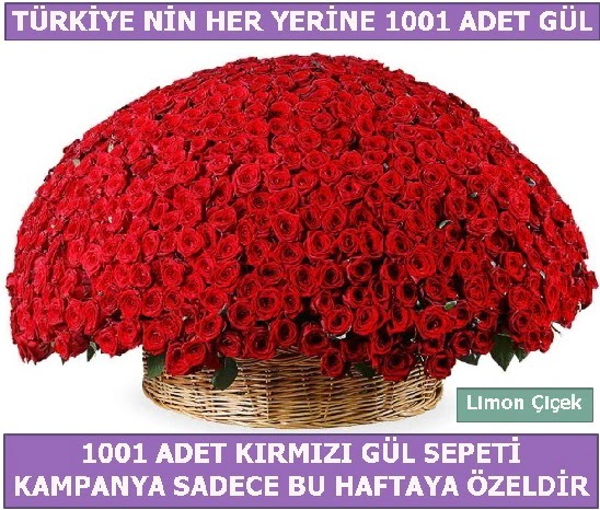 1001 Adet kırmızı gül Bu haftaya özel  Adana çiçek yolla İnternetten çiçek siparişi 