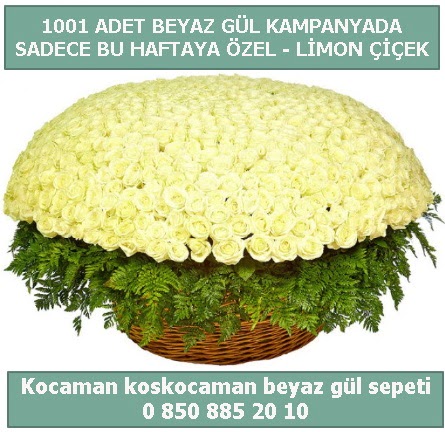 1001 adet beyaz gül sepeti özel kampanyada  Adana çiçek yolla çiçek gönderme sitemiz güvenlidir 