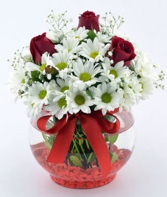 Fanusta 3 Gül ve Papatya  Adana çiçek gönder internetten çiçek satışı 