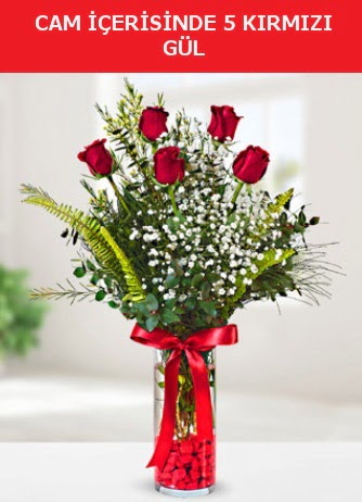 Cam içerisinde 5 adet kırmızı gül  Adana çiçek gönder çiçek siparişi sitesi 