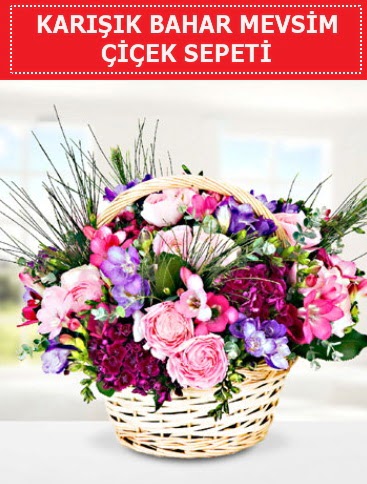 Karışık mevsim bahar çiçekleri  Adana çiçek gönder ucuz çiçek gönder 