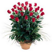  Adana çiçek siparişi uluslararası çiçek gönderme  10 adet kirmizi gül cam yada mika vazo
