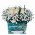 mika ve beyaz gül renkli taslar   Adana çiçek yolla çiçek satışı 