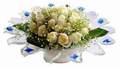 cam günes ve dolunay bembeyaz  Adana çiçek gönder çiçek , çiçekçi , çiçekçilik 