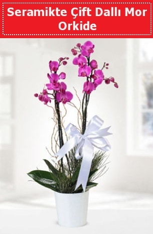 Seramikte Çift Dallı Mor Orkide  Adana çiçek siparişi anneler günü çiçek yolla 